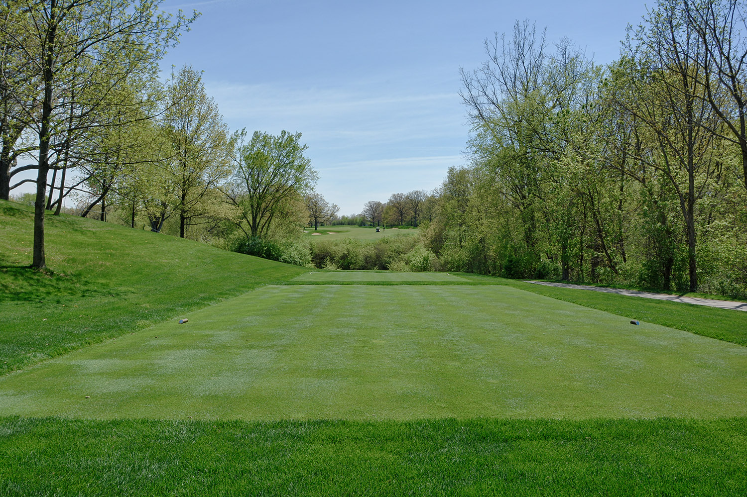 Dubsdread Golf Course Hole 15