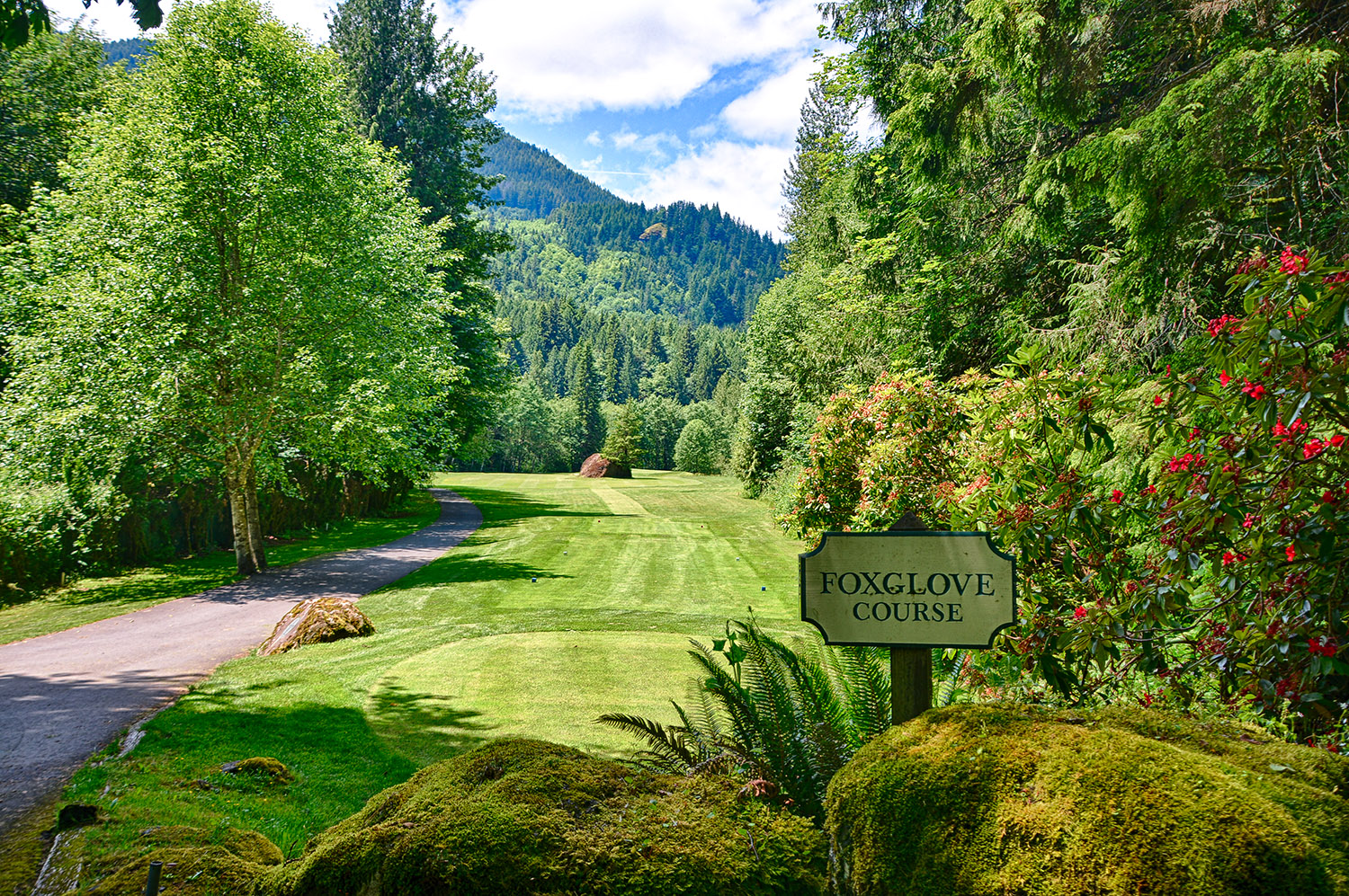Foxglove Course - The Resort at the Mountain
