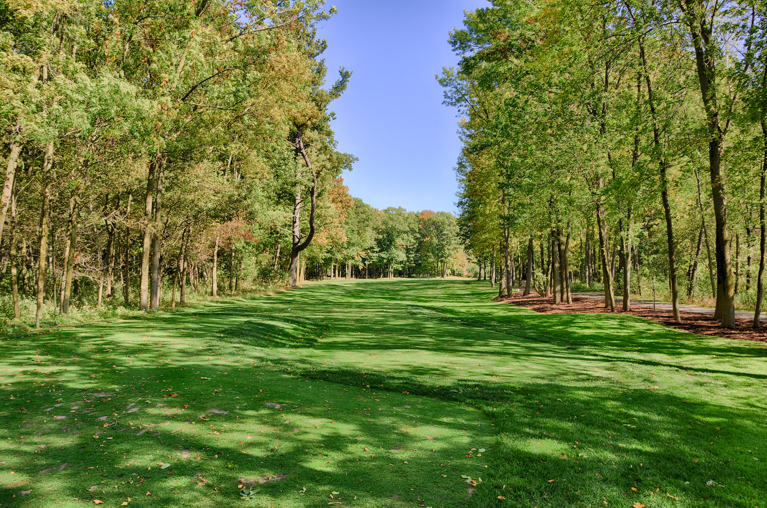 Meadow Valleys 10 Breaking Eighty