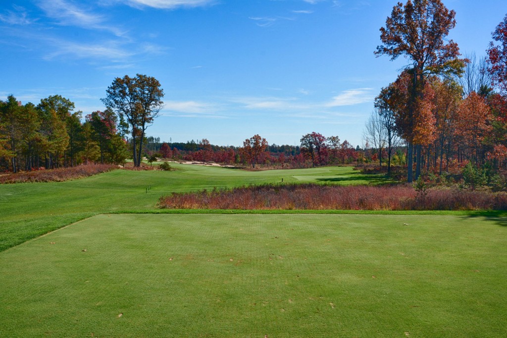 Forest Dunes is one of the top 100 public golf courses in the united states, and one of the best in Michigan.