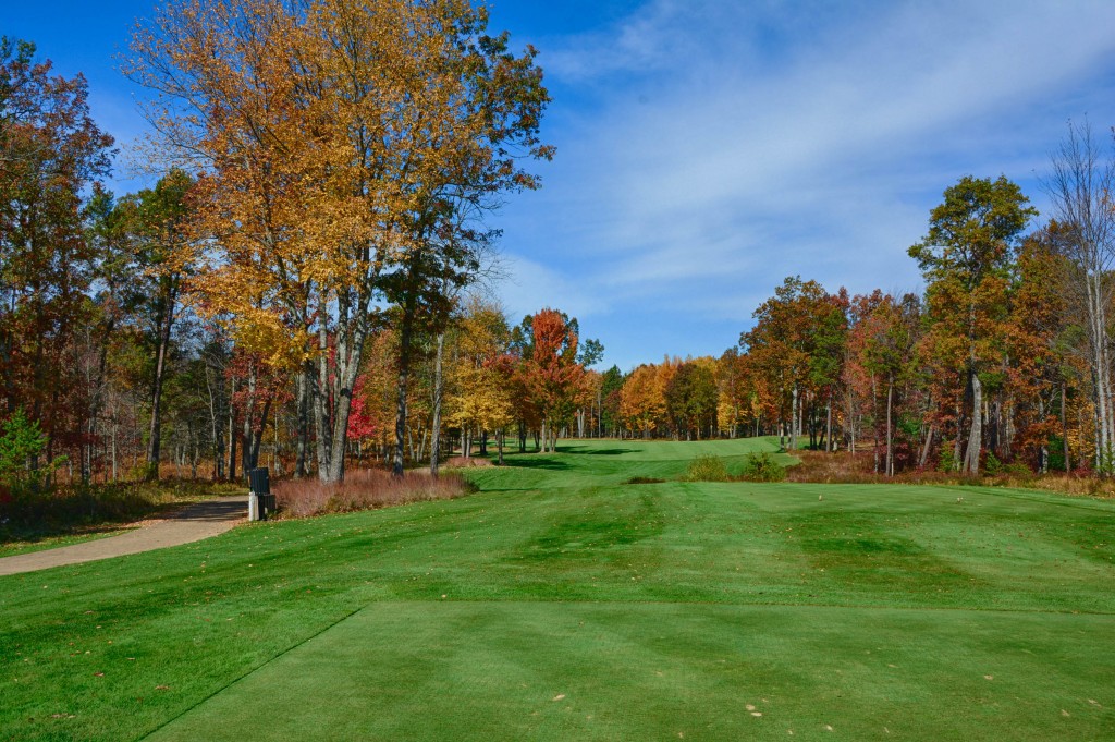 Forest Dunes is one of the top golf courses in the world and in the state of Michigan