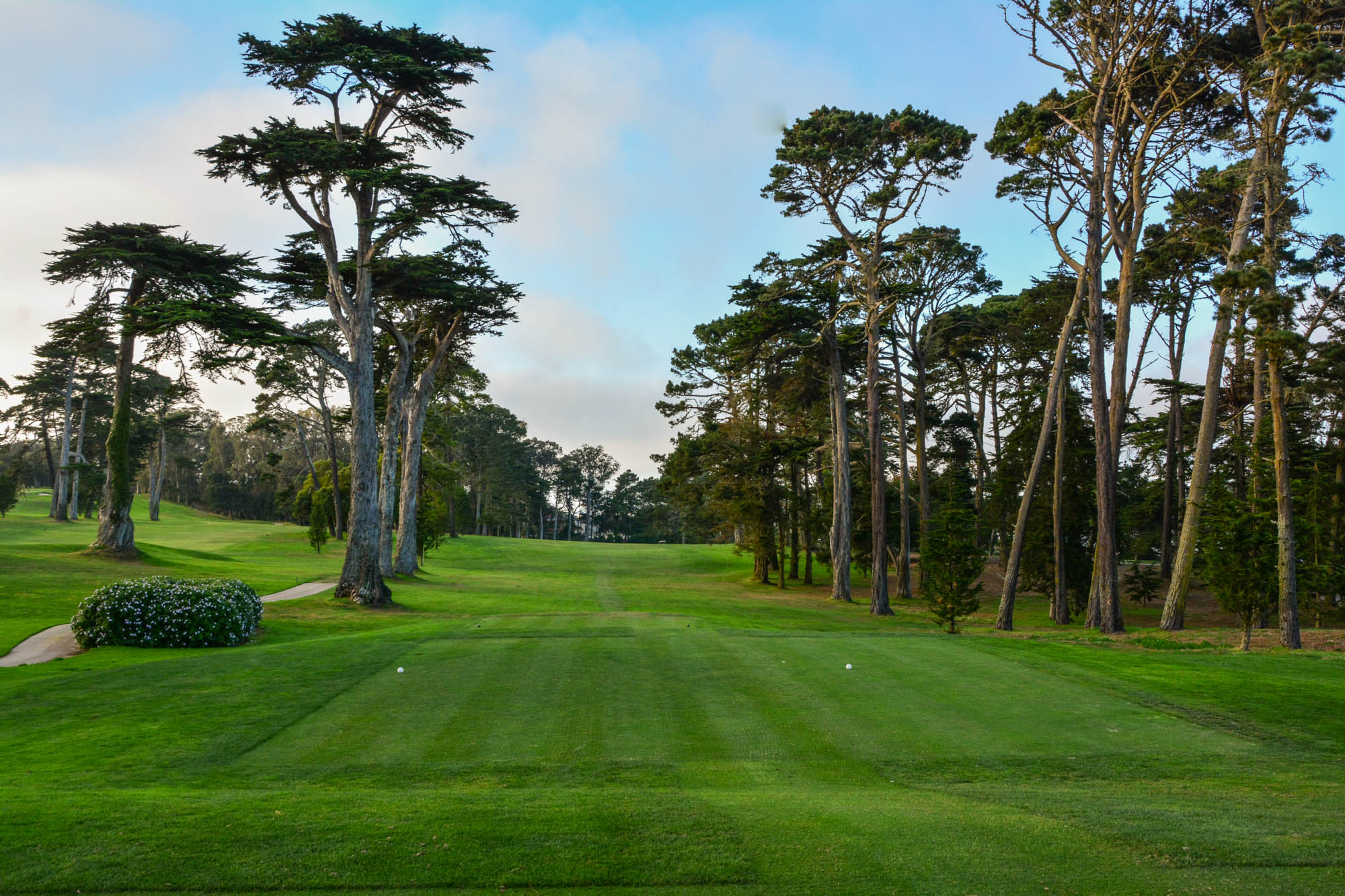 Olympic Club Hole 12 - Breaking Eighty