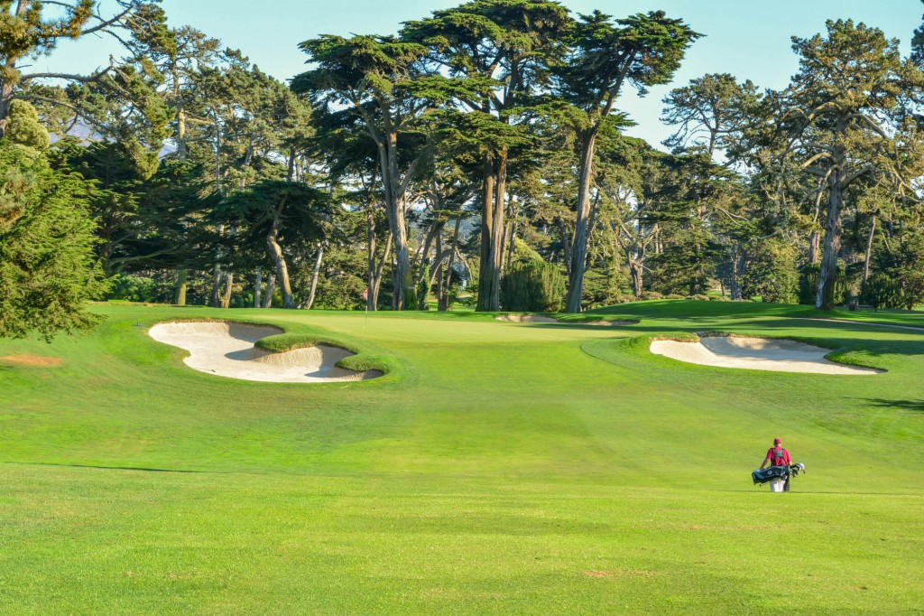 The Lake Course at the Olympic Club is one of the top 100 golf courses in the US and has hosted 5 US Open Championships