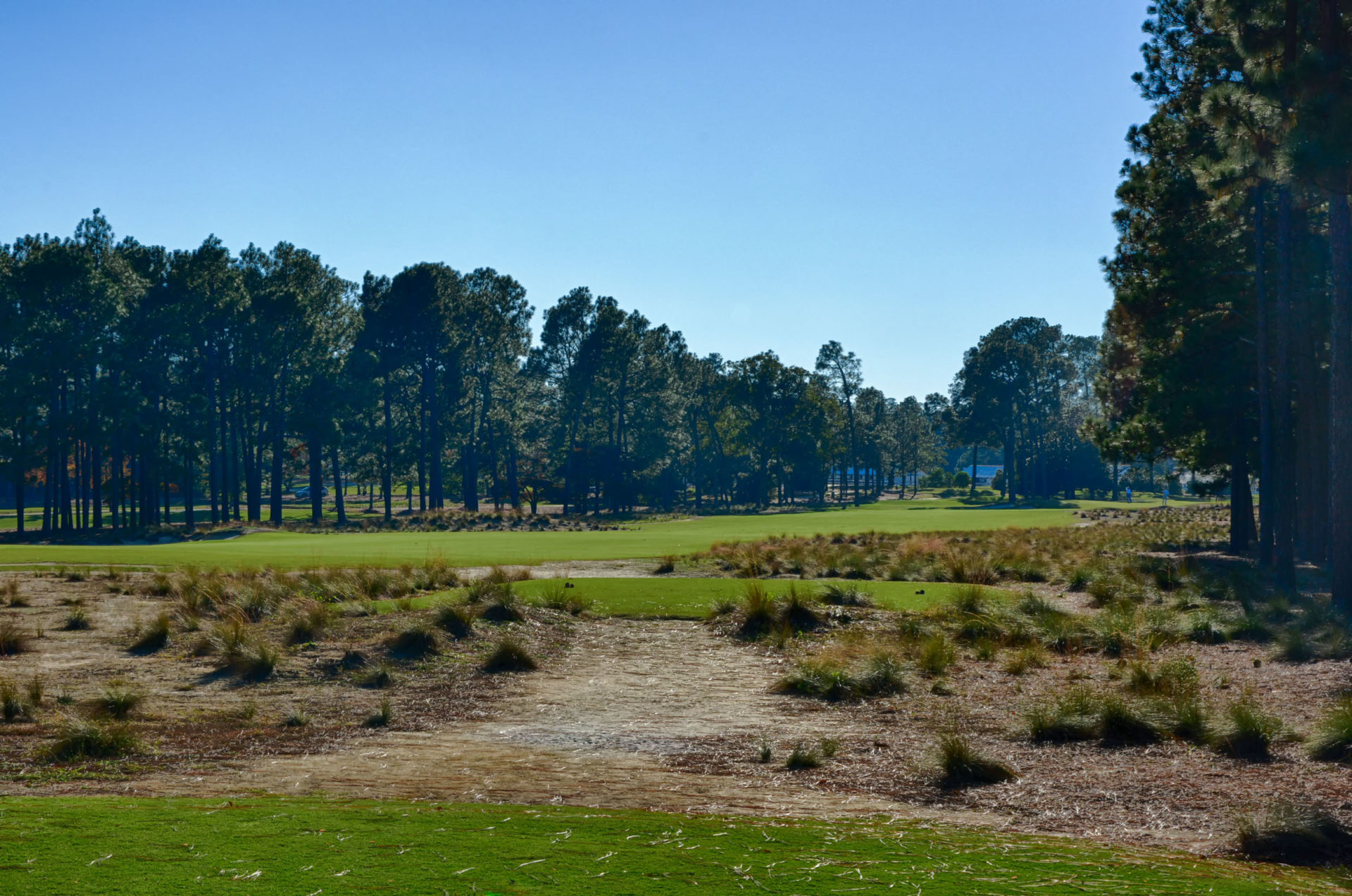 Pinehurst 2 Hole 12 Breaking Eighty