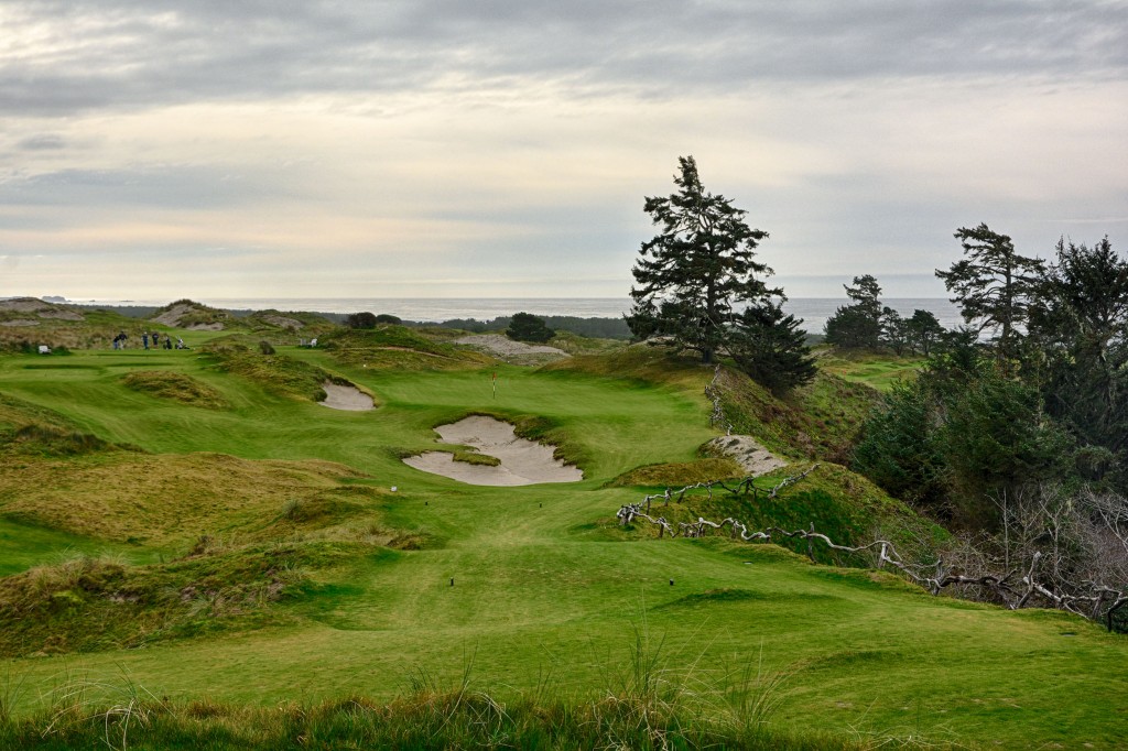 Some think the 2nd at Bandon Preserve is the best on the course.