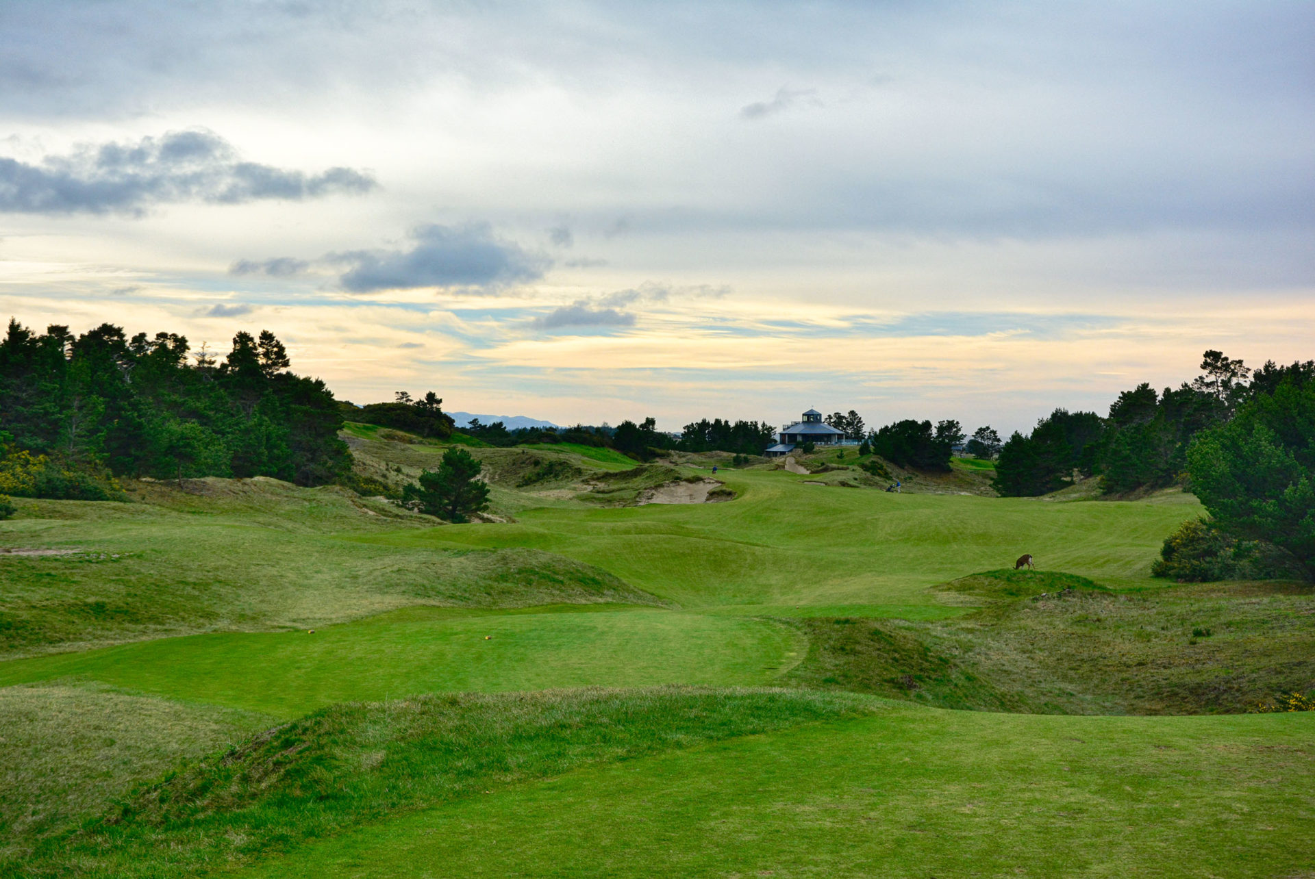 The wild looking 18th at Pacific Dunes