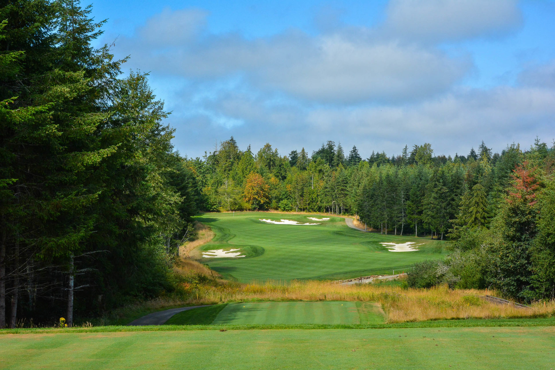 Salish Cliffs and Chambers Bay The Perfect Golf Getaway