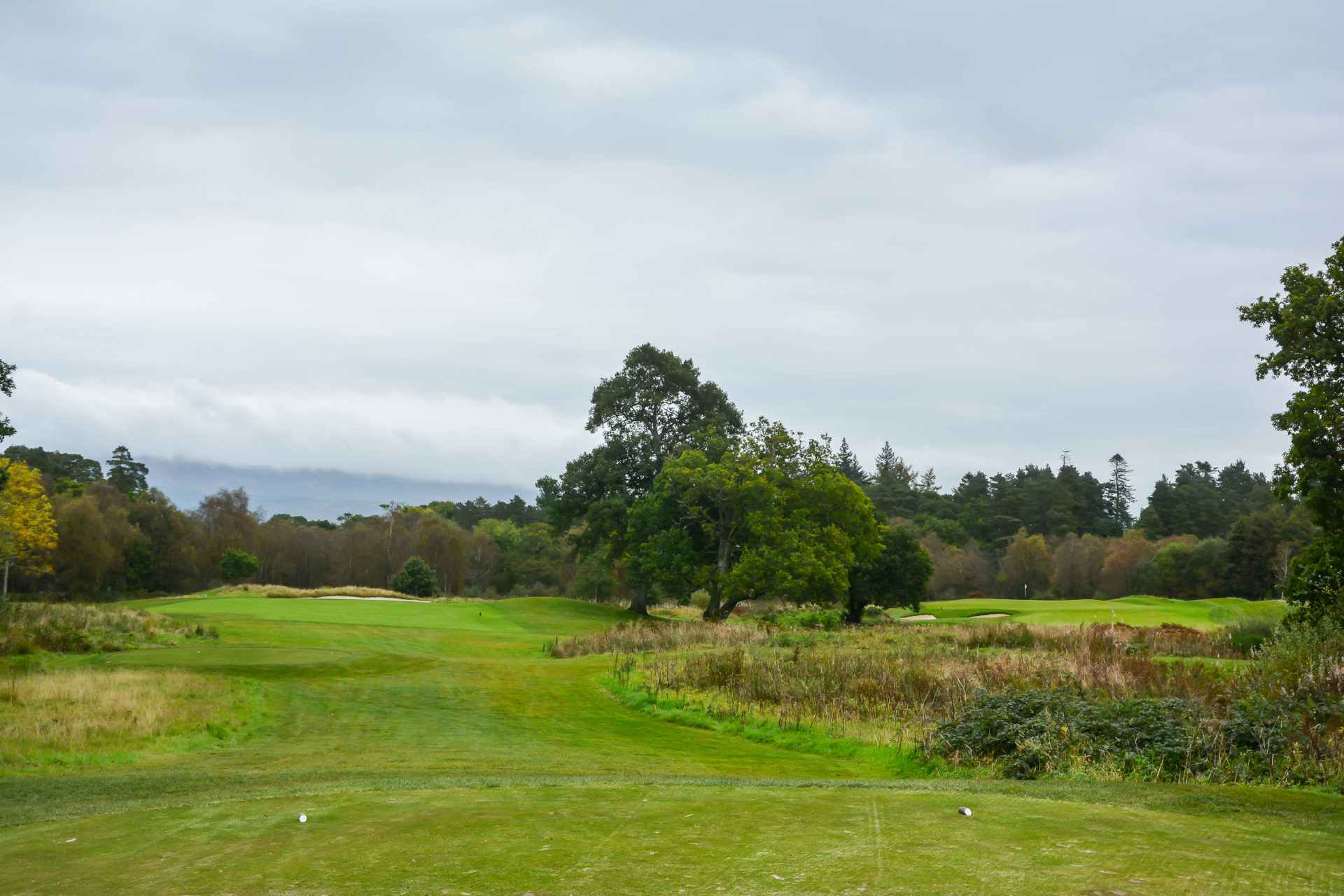 The tee shot on #14 at Loch Lomond Golf Club.
