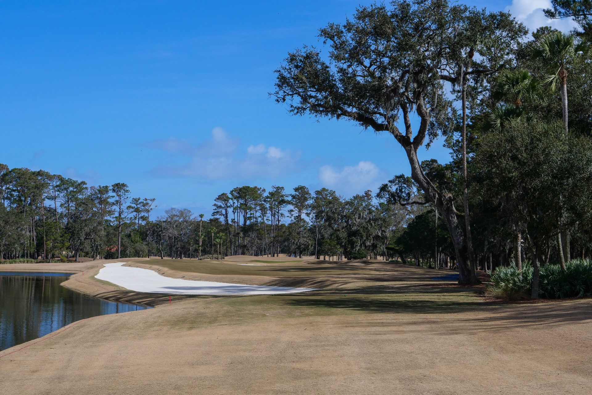 watch tpc sawgrass online