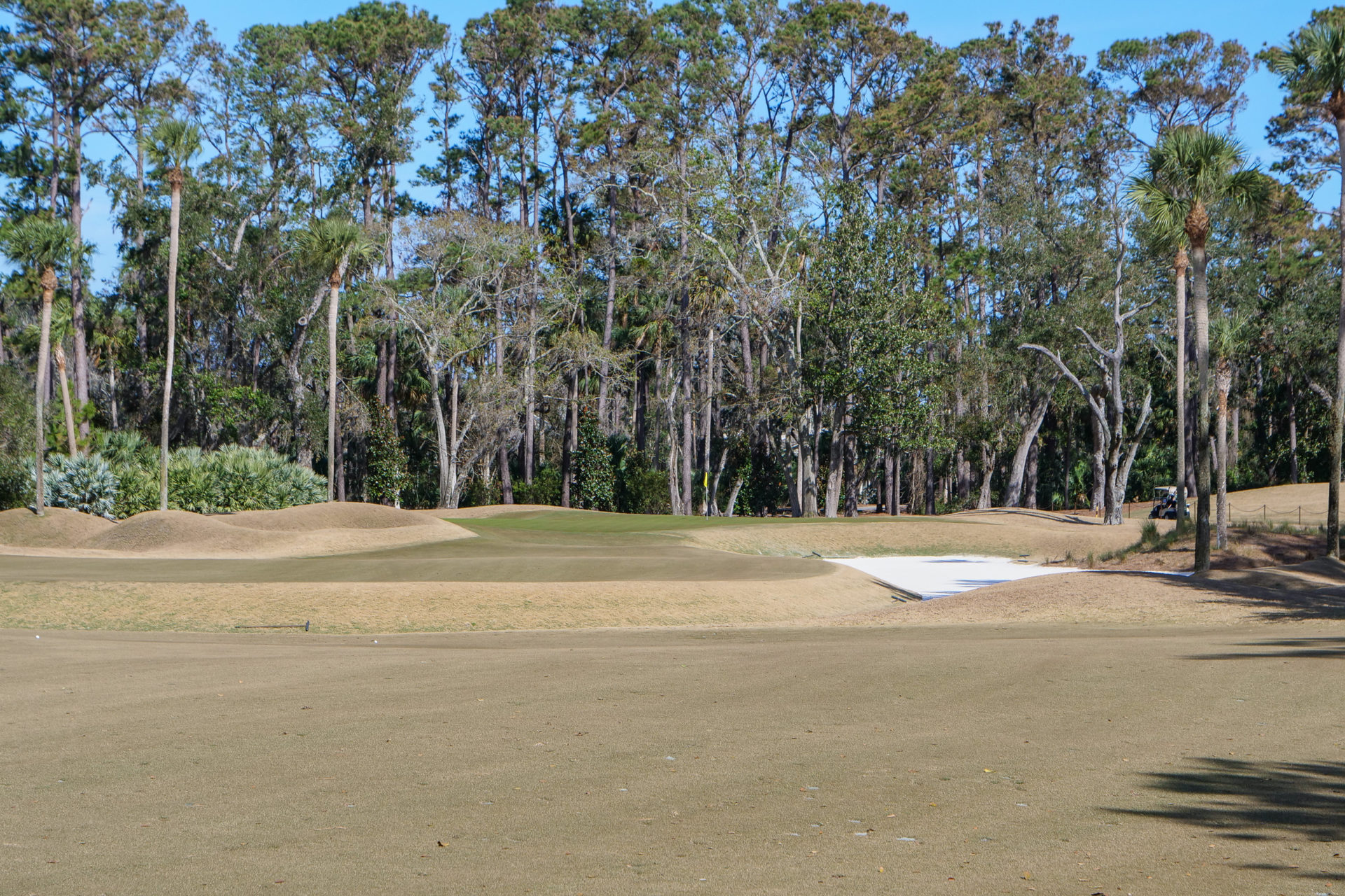 watch tpc sawgrass online