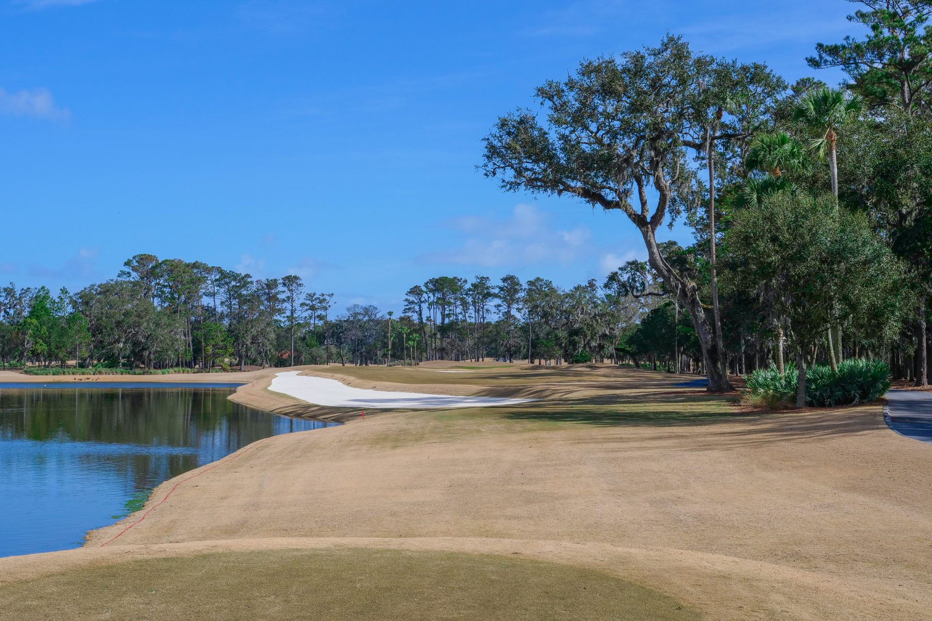 TPC Sawgrass Stadium Course Review