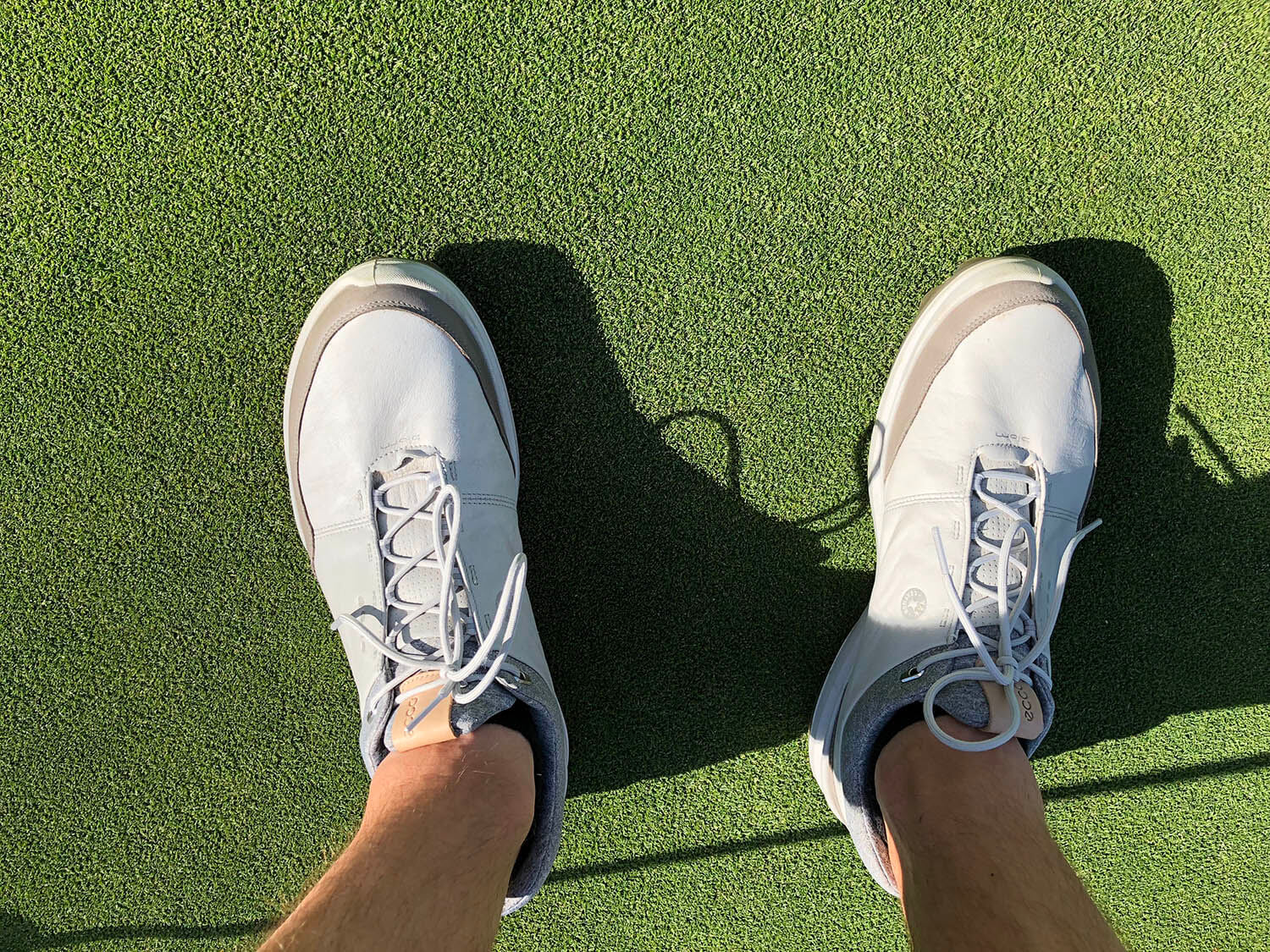 ecco biom natural motion golf shoes