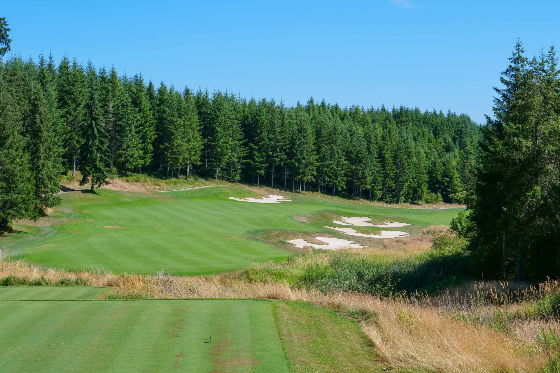 Salish Cliffs Golf Club Review One of Washington's Best Public Courses