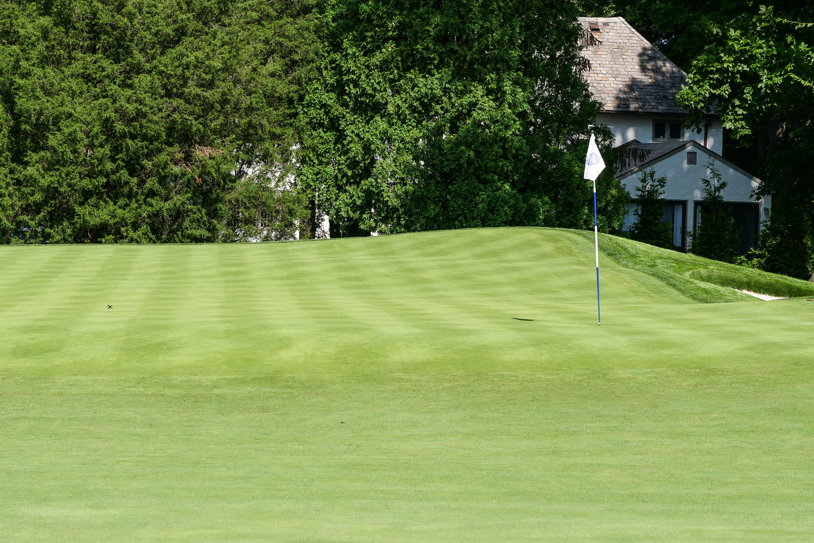 The 4th green is a good example of a typical green at Winged Foot: interesting.