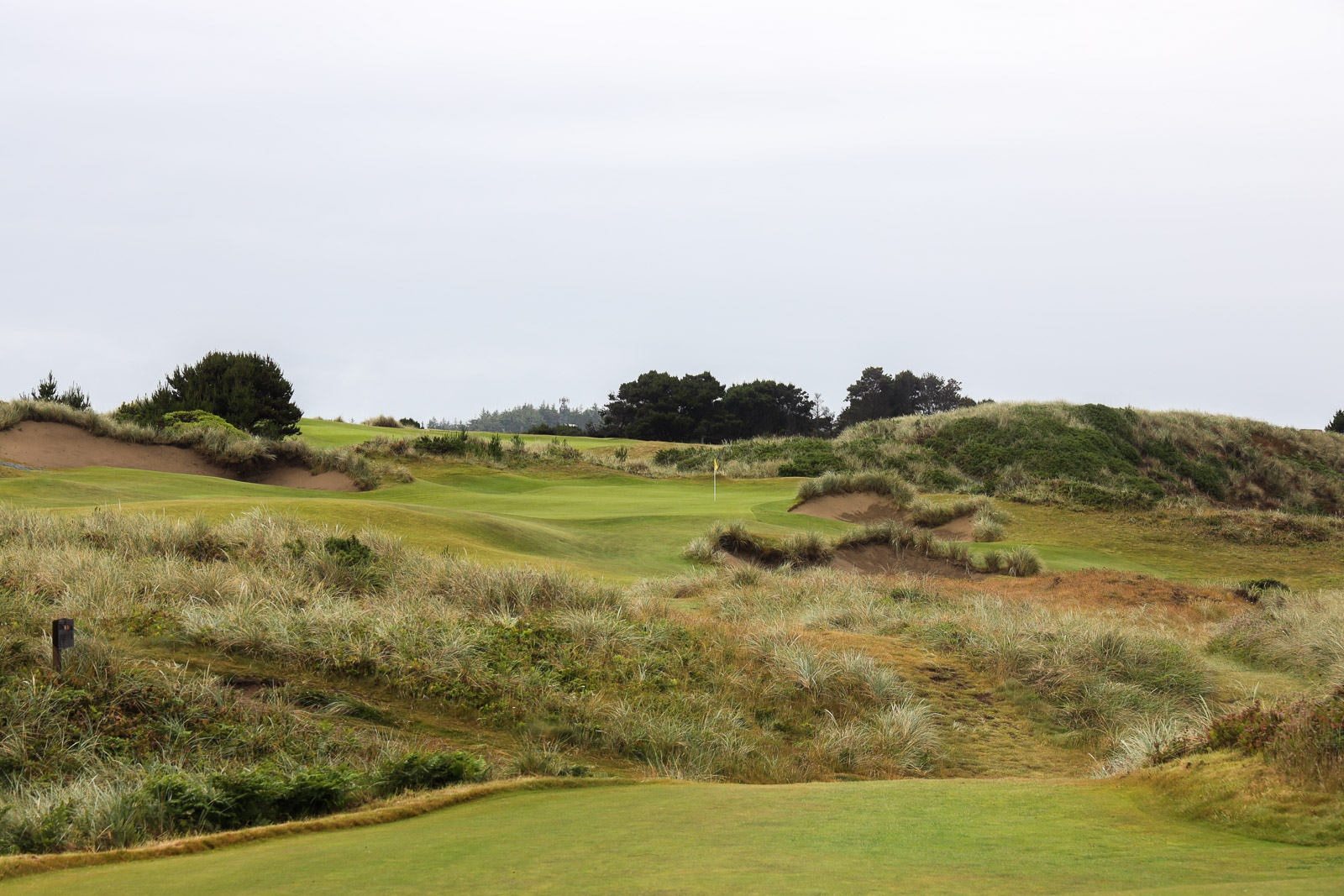 The 5th hole at Pacific Dunes.