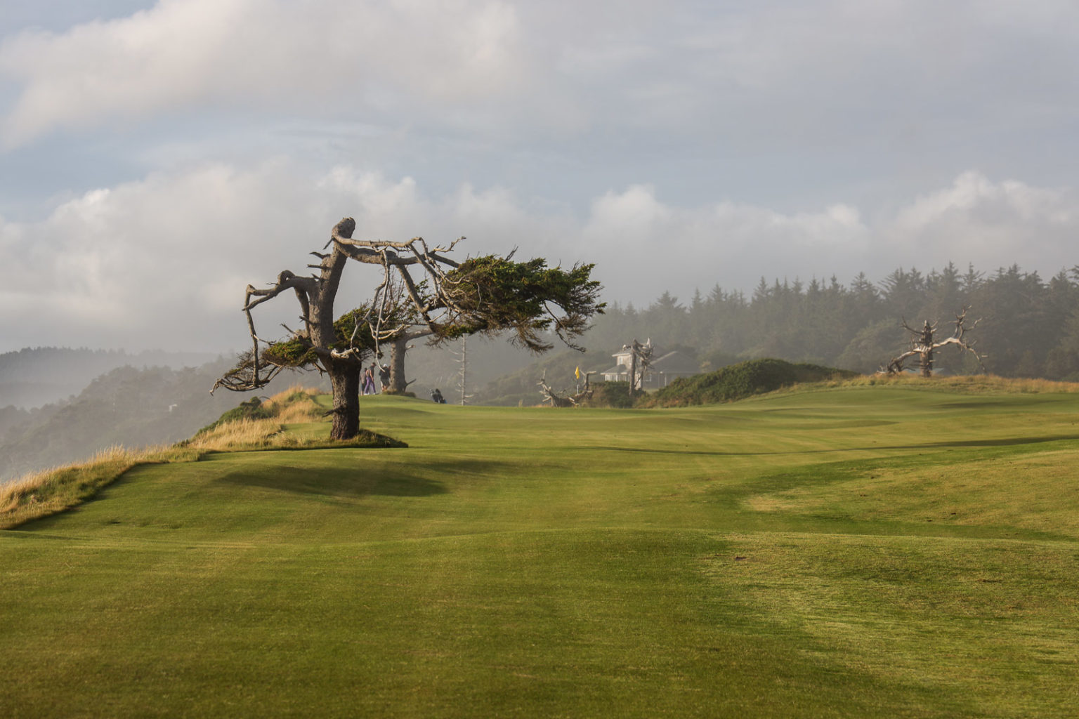 Bandon Dunes Golf: The Ultimate Guide to Visiting the World's Best Golf ...