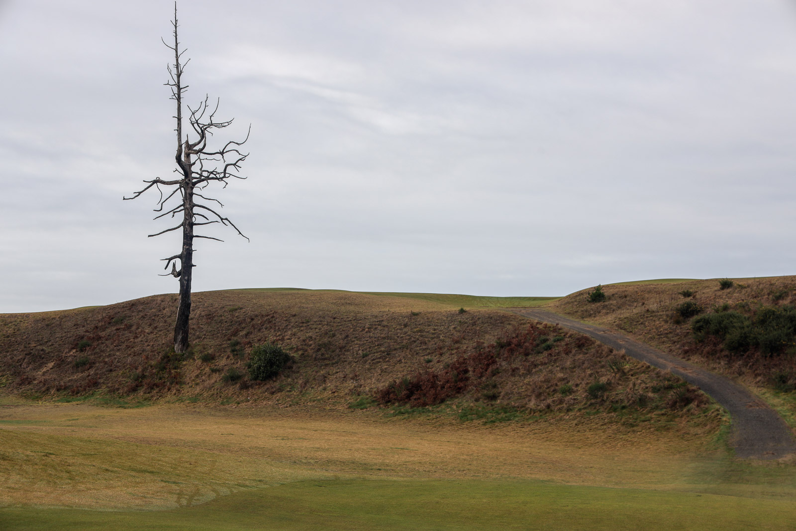 Old Macdonald Hole 3 at Bandon Dunes