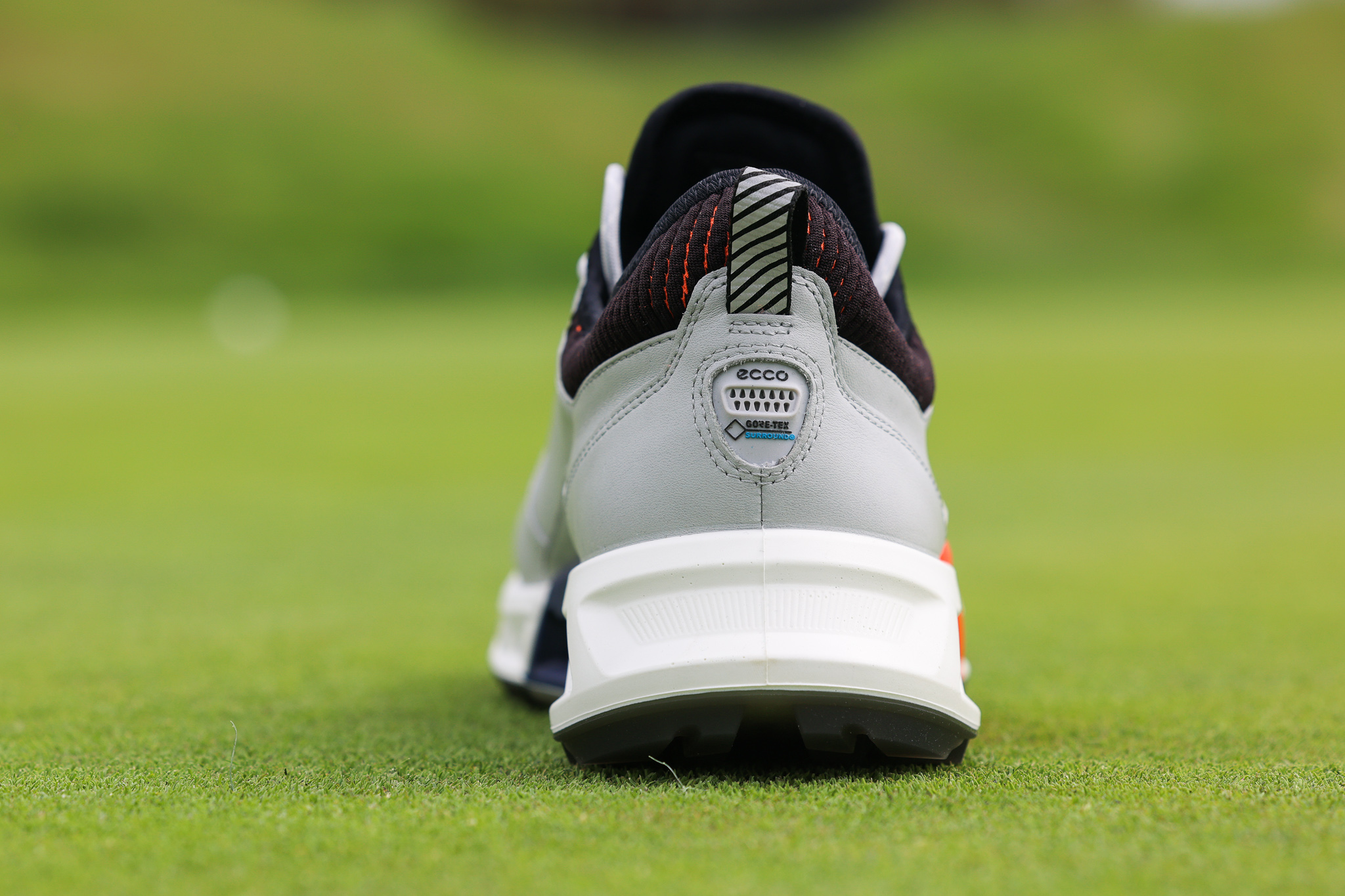 Ecco Biom C4 Review: The Best Golf Shoe I've Ever Owned -