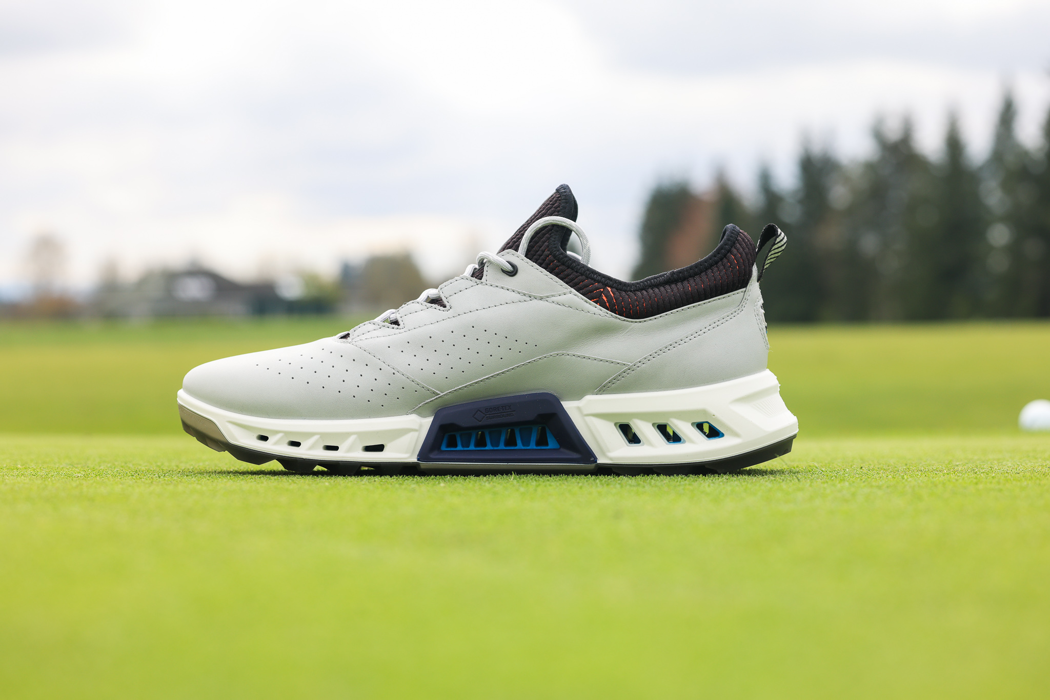 Flere Incubus skrig Ecco Biom C4 Review: The Best Golf Shoe I've Ever Owned -