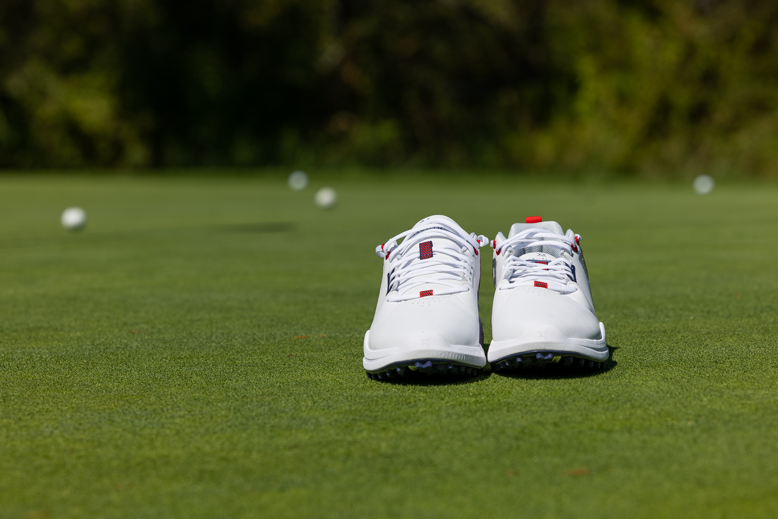 Payntr Golf Shoes 