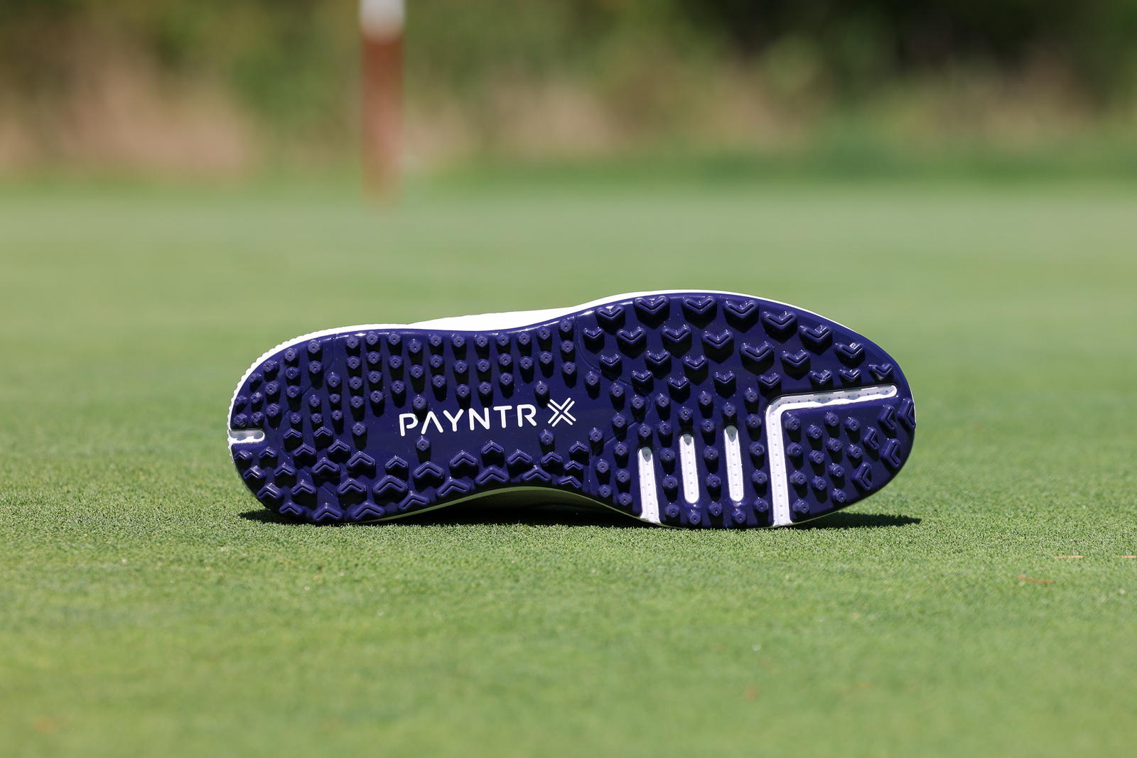 Payntr Golf Shoes Sole