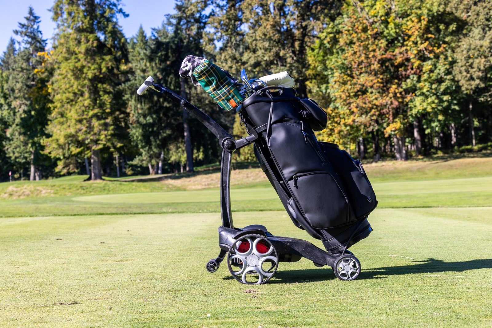 Should Golfers Push, Pull or Carry Their Clubs?, Article