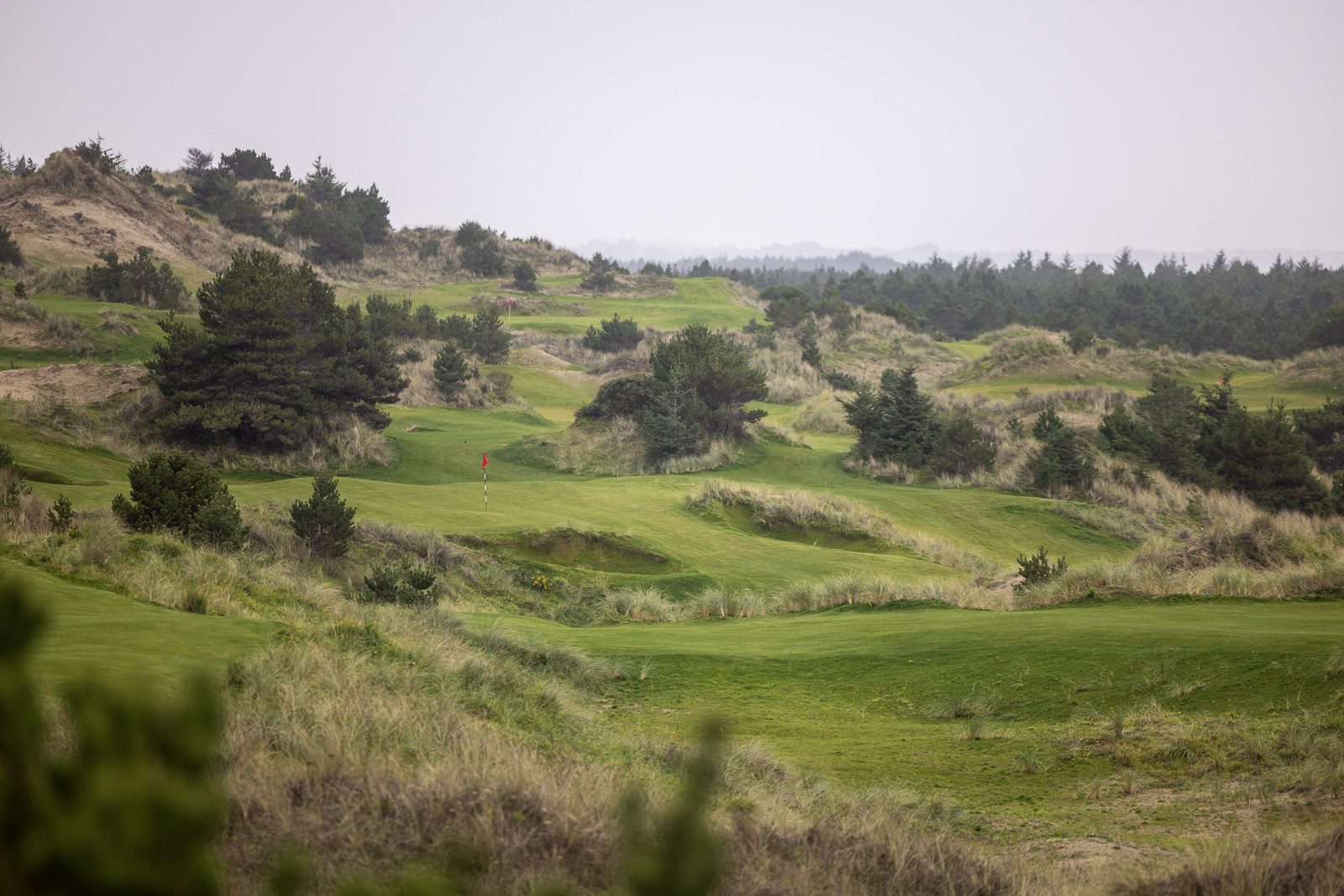 Shortys Bandon Dunes