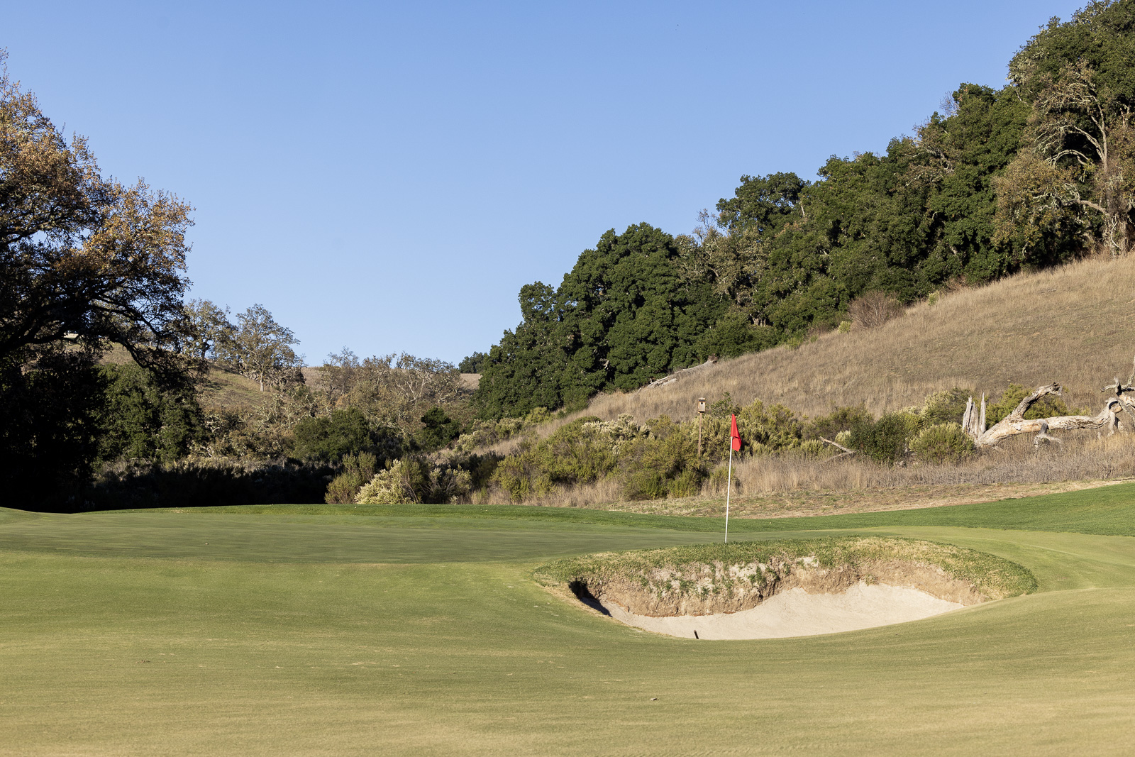 The Preserve Golf Club at Santa Lucia Hole 13 green
