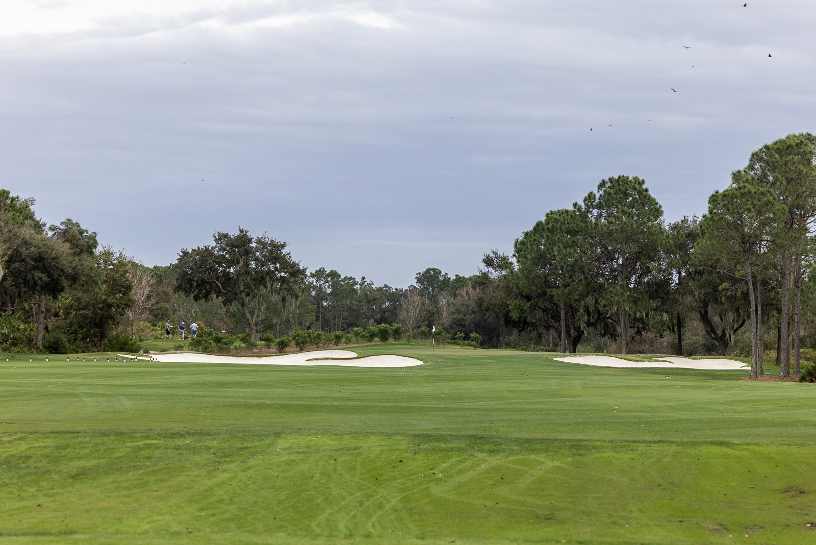 Ritz Carlton Golf Club Orlando Hole 1