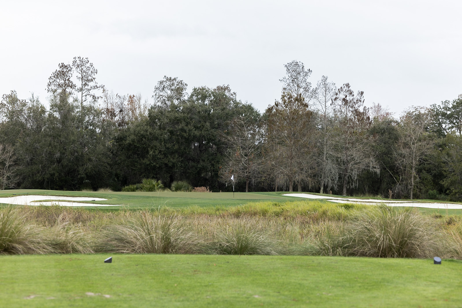 Ritz Carlton Golf Club Orlando Hole 8