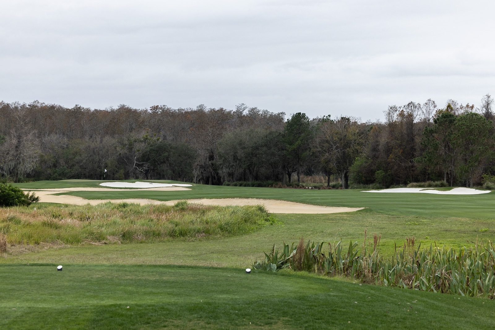 Ritz Carlton Golf Club Orlando Hole 10