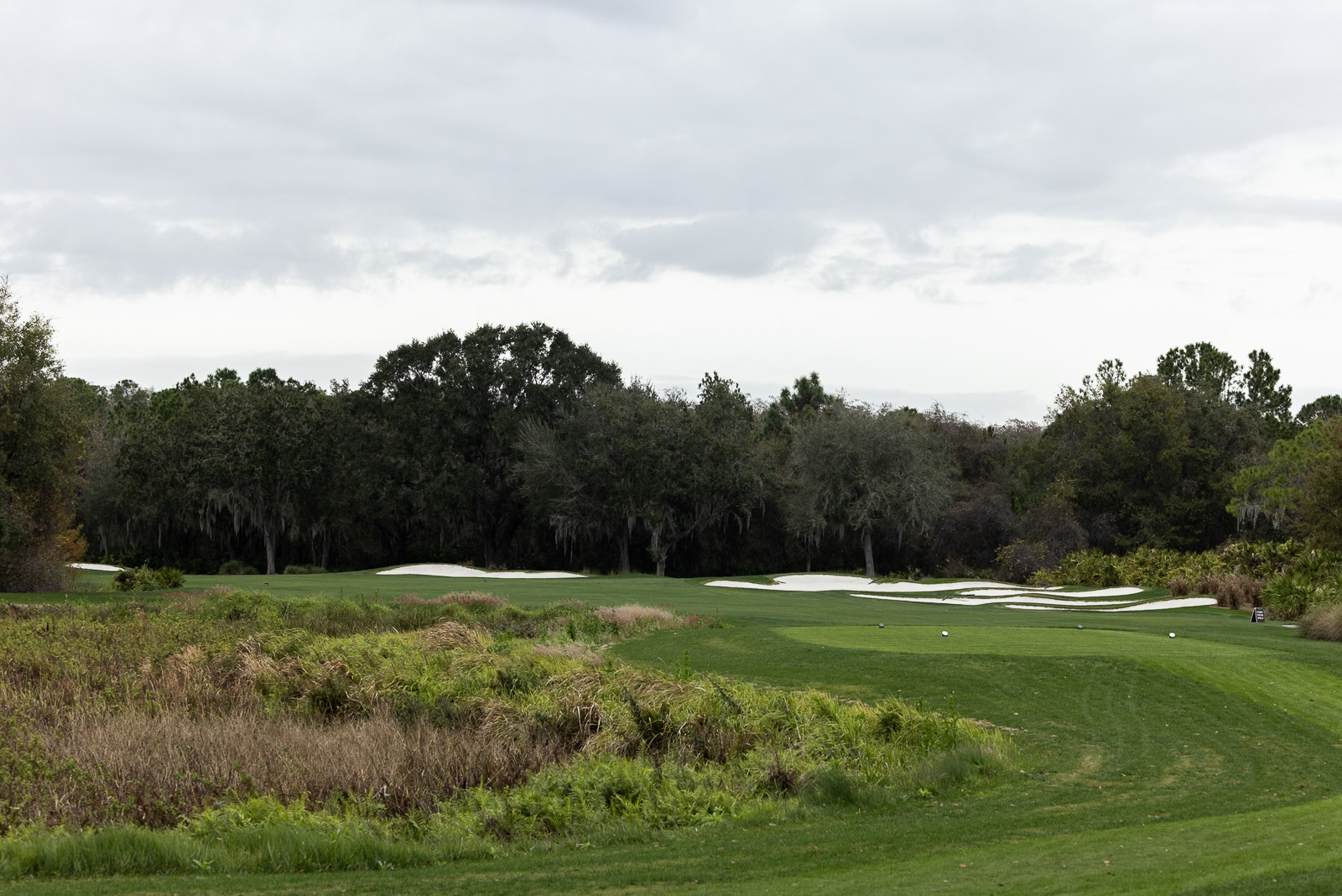 Ritz Carlton Golf Club Orlando Hole 13