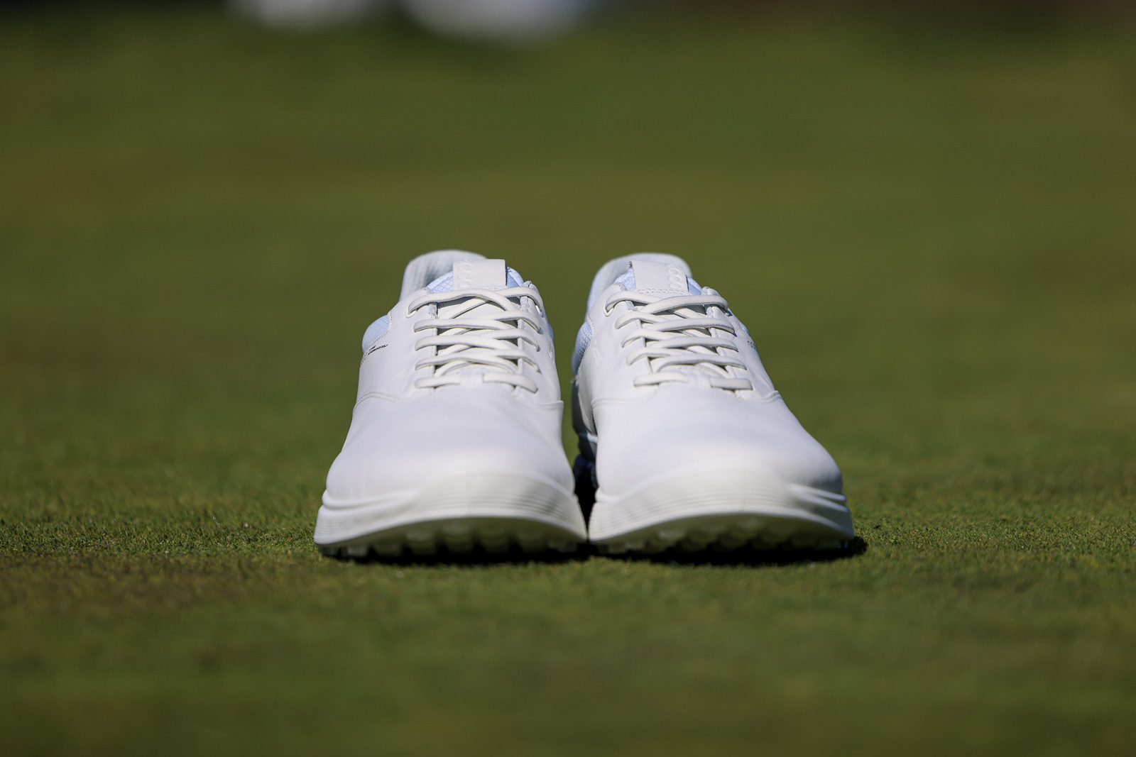 Ecco S-Three Golf Shoes from front