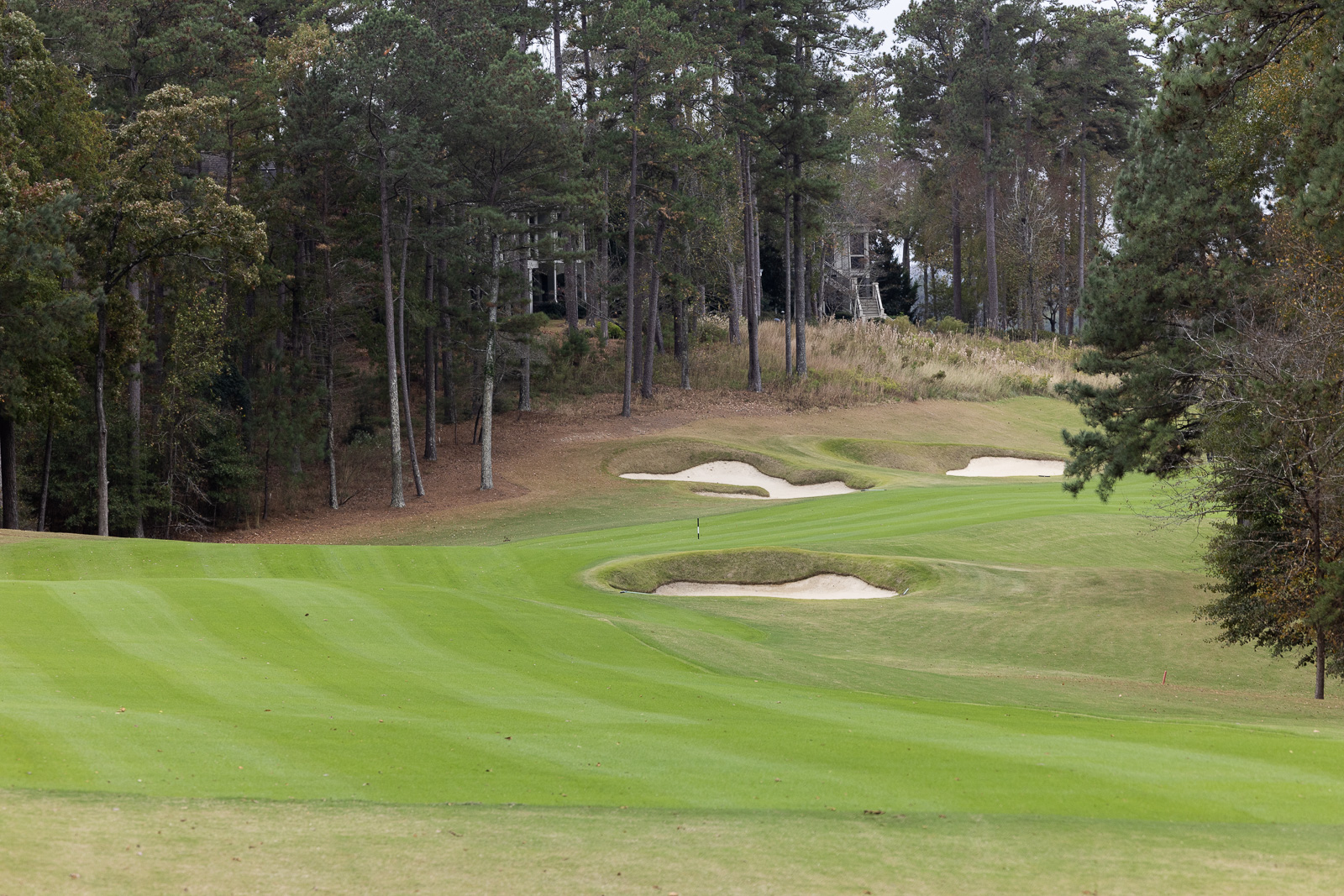 Reynolds National Bluff Hole 3