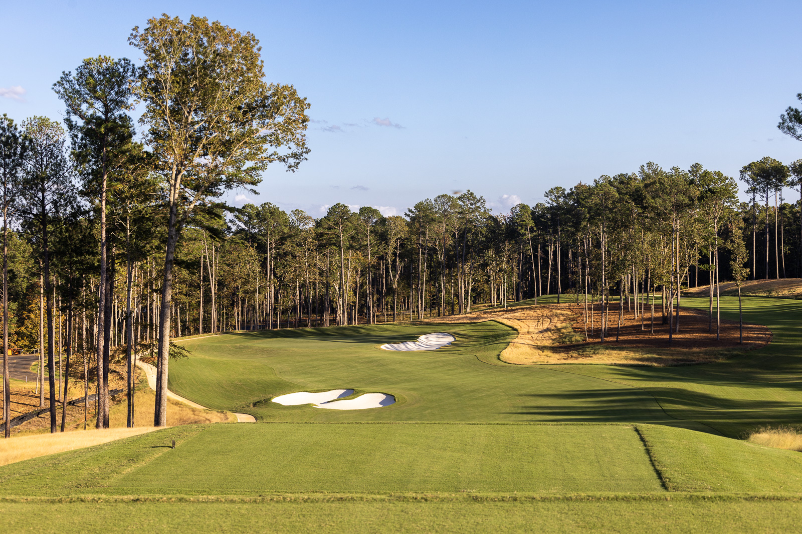 Reynolds Richland Hole 11