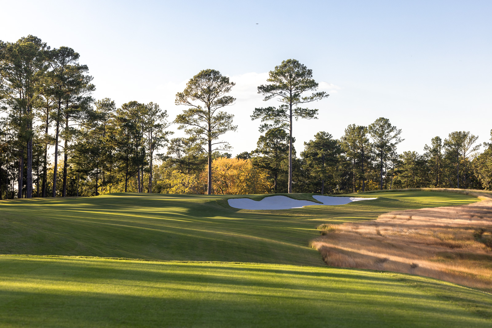 Reynolds Richland Hole 14