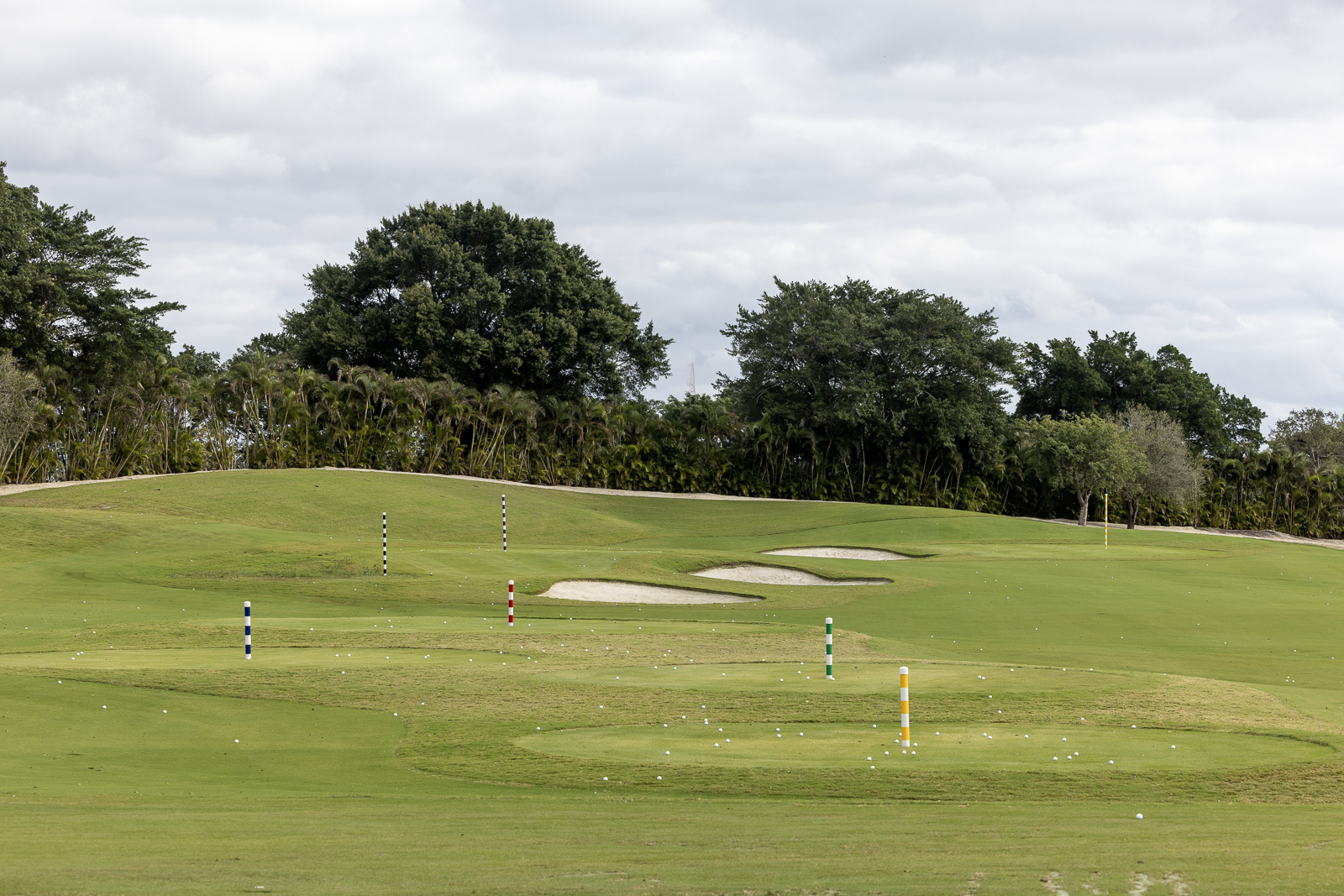 Dutchmans Pipe Driving Range