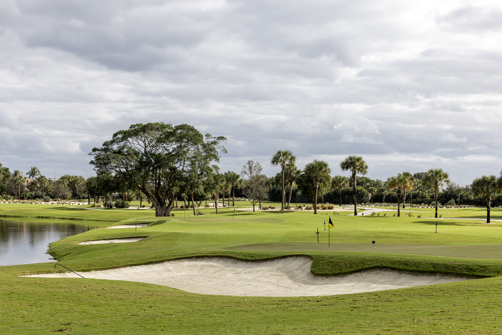 Dutchmans Pipe Short Game