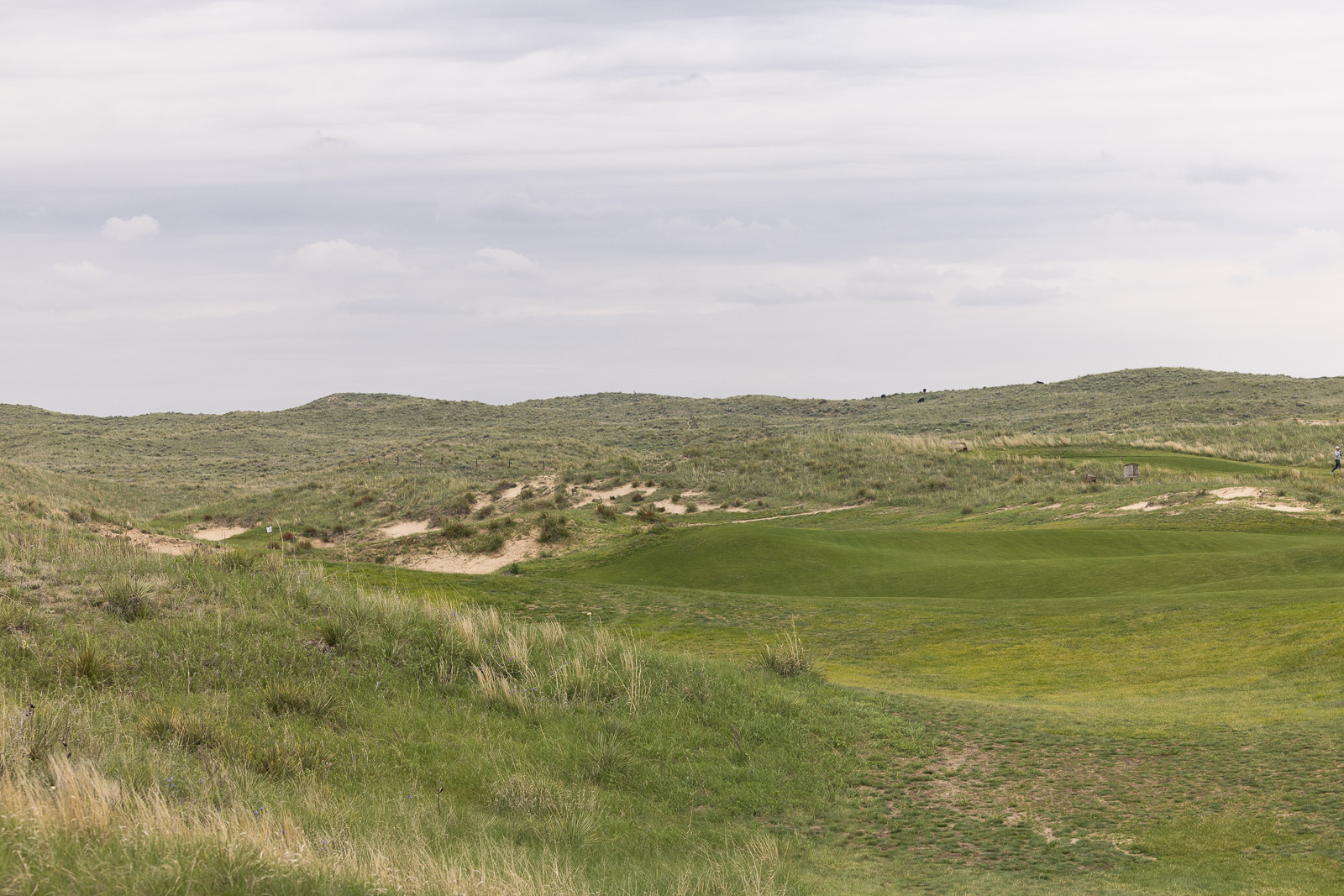 Ballyneal Hole 7