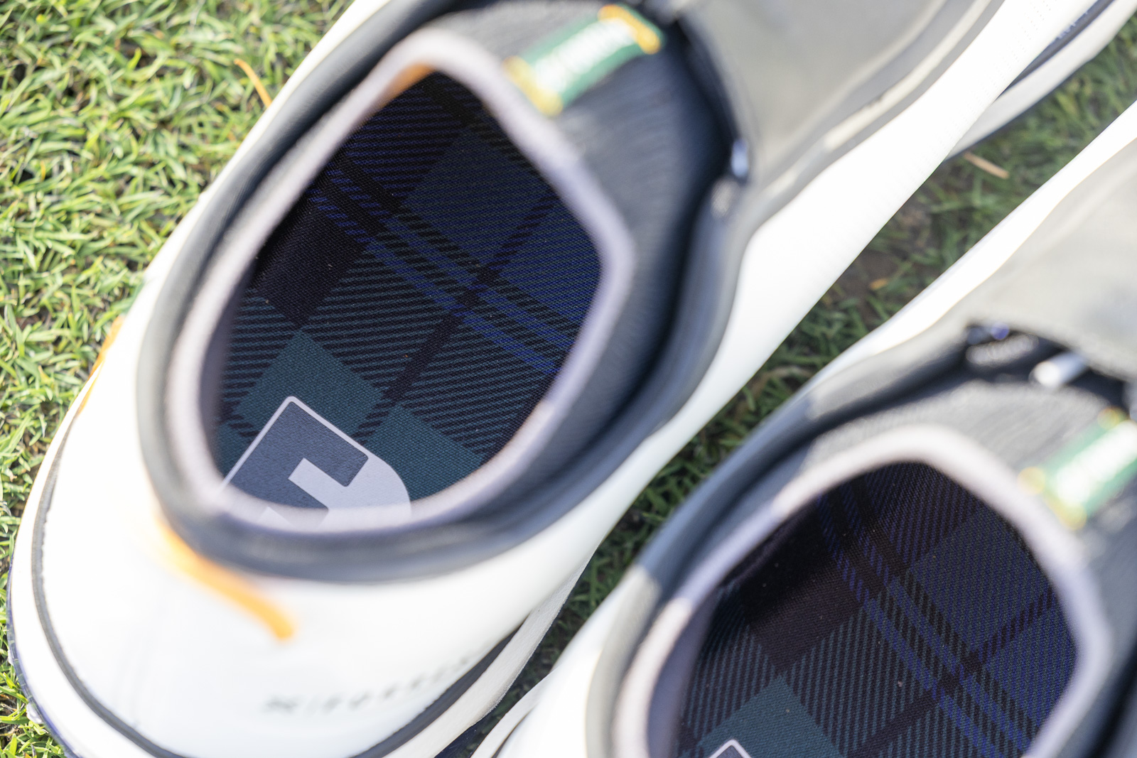 Forresters x Payntr Shoes