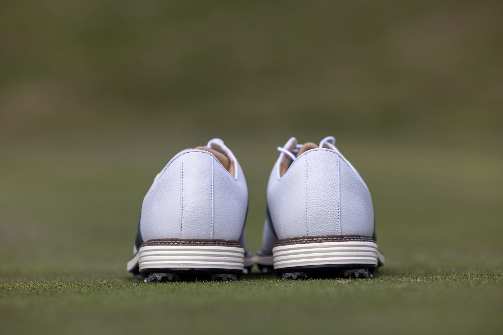 Footjoy Premiere Packard