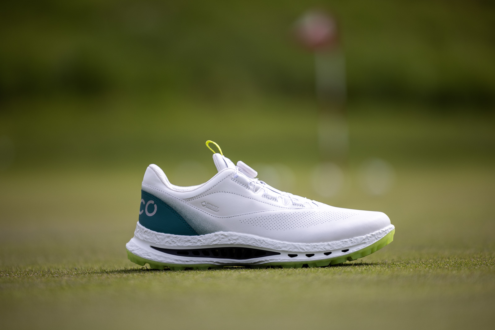 Ecco Biom C5 Golf Shoes