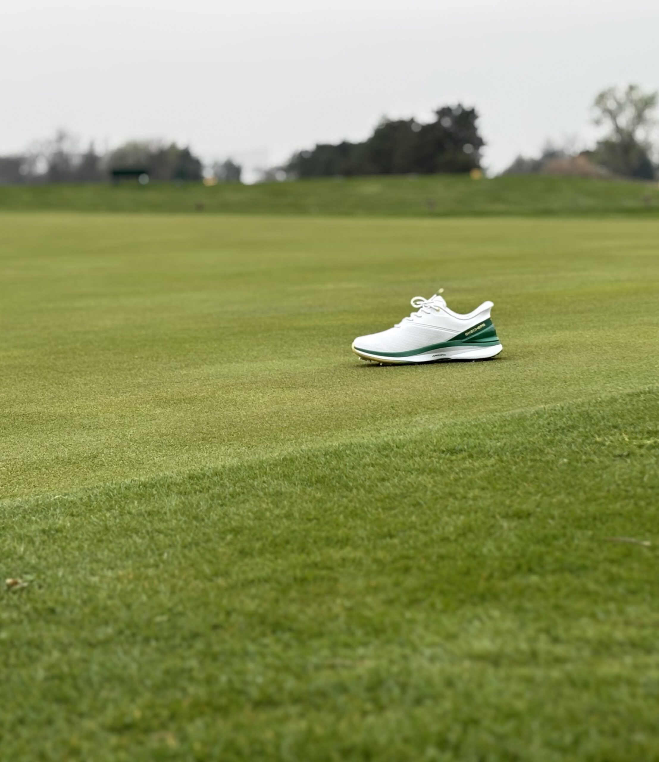 Skechers Blade Tour Golf Shoes