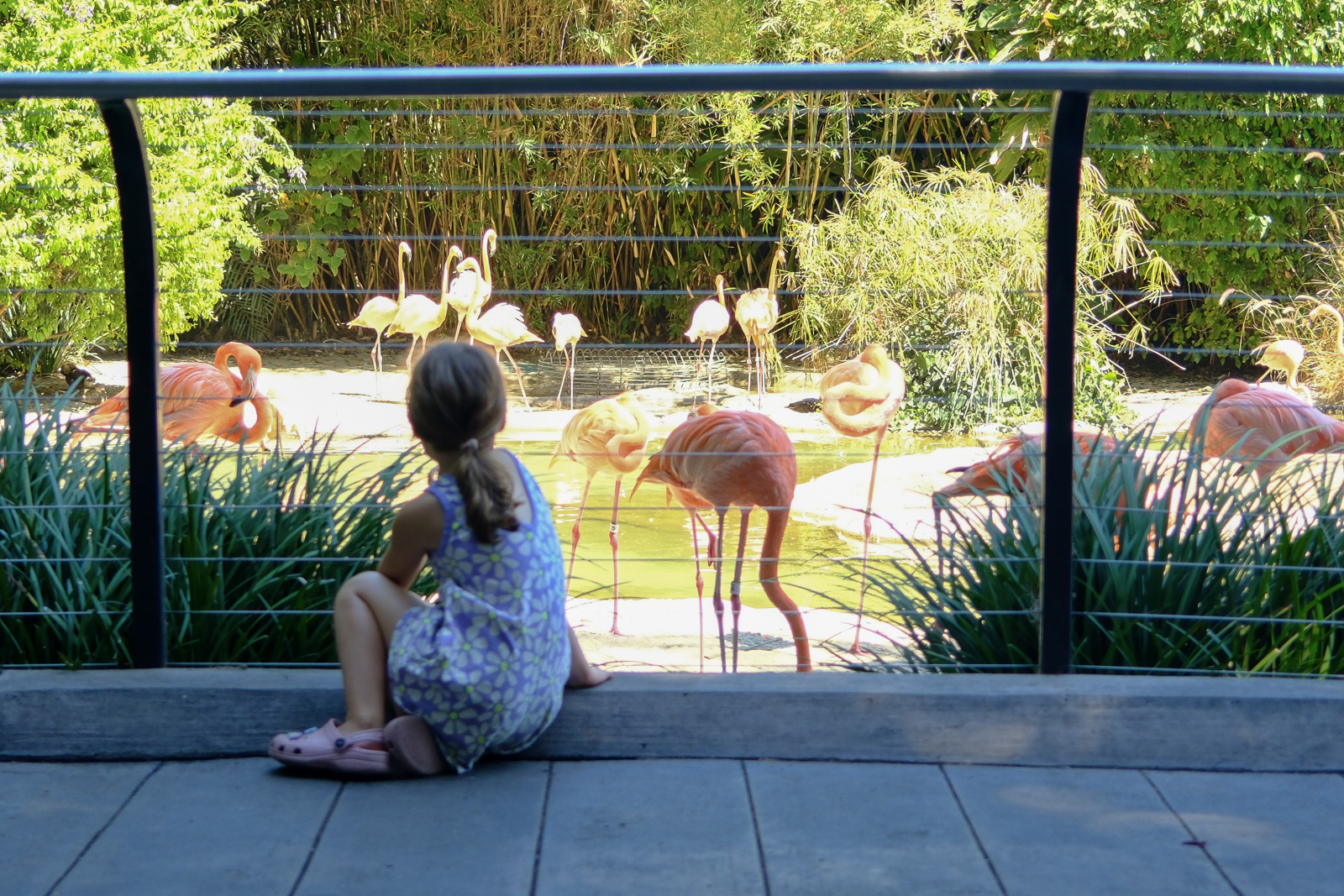 San Diego Zoo