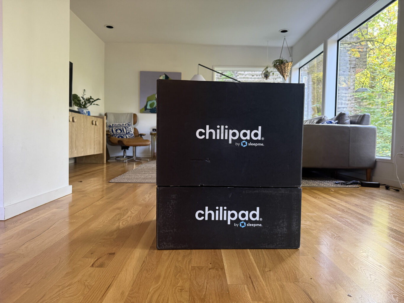 ChiliPad 2 boxes